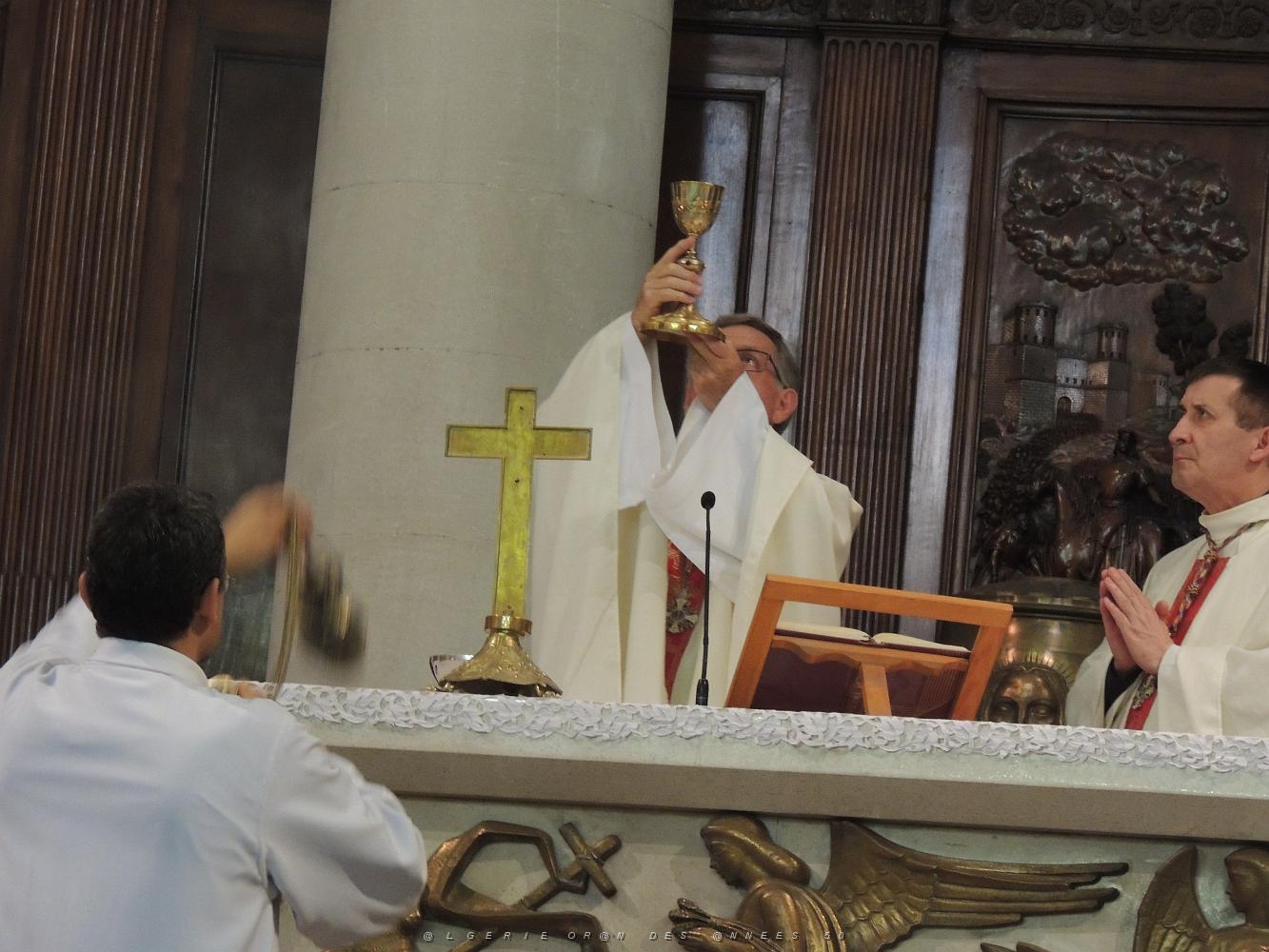 2019 08 14 TOULON MESSE DE L ASSOMPTION (35).JPG -           